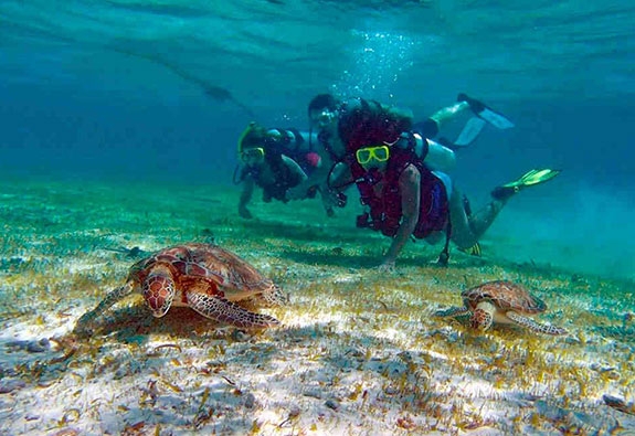 Single-Tank-Scuba-Diving-Belize